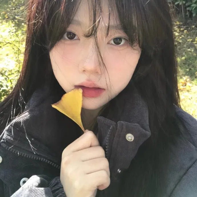 绕行美国
